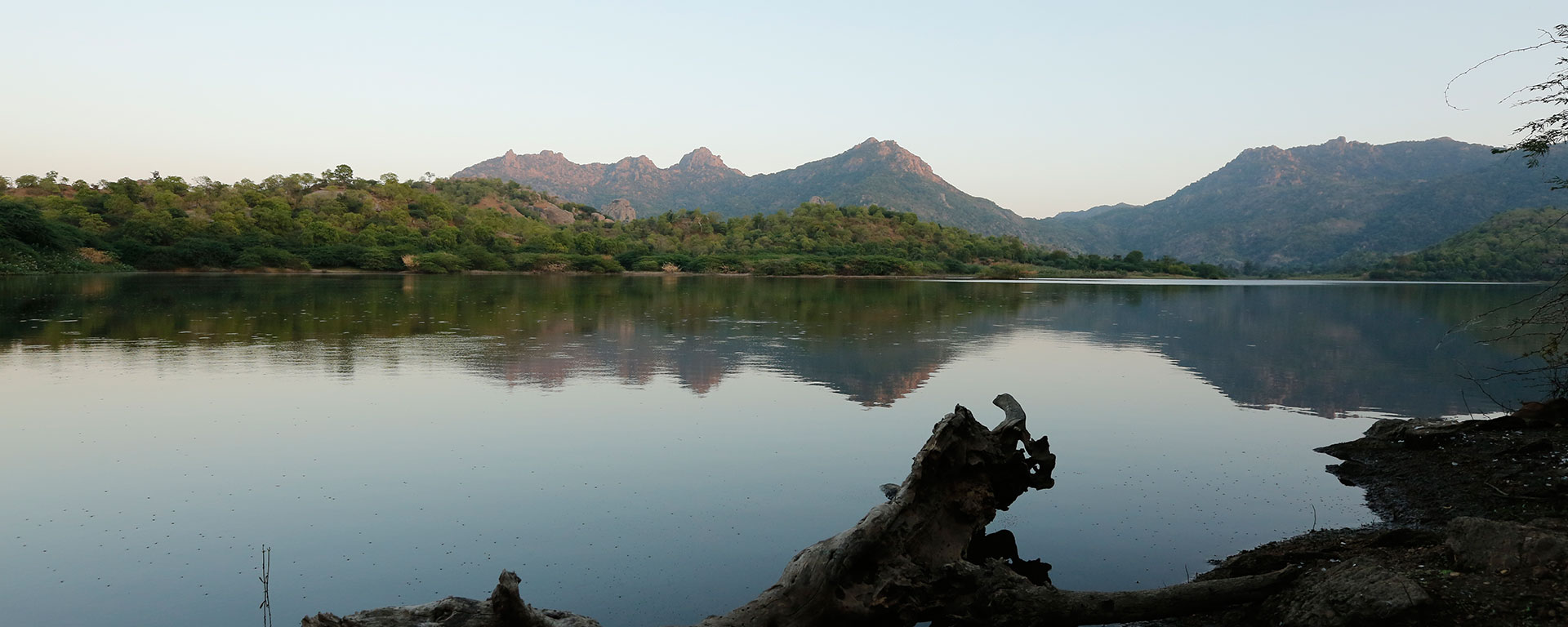 Hotel Araavali trails slider